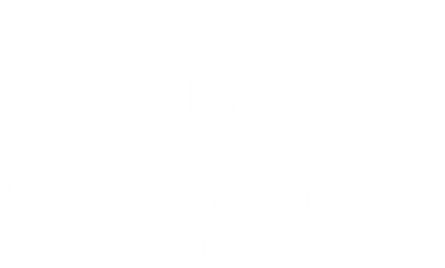 Takeo Kikuchi Contabilidade